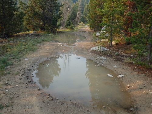 GDMBR: Road damage from last night’s rain storm.